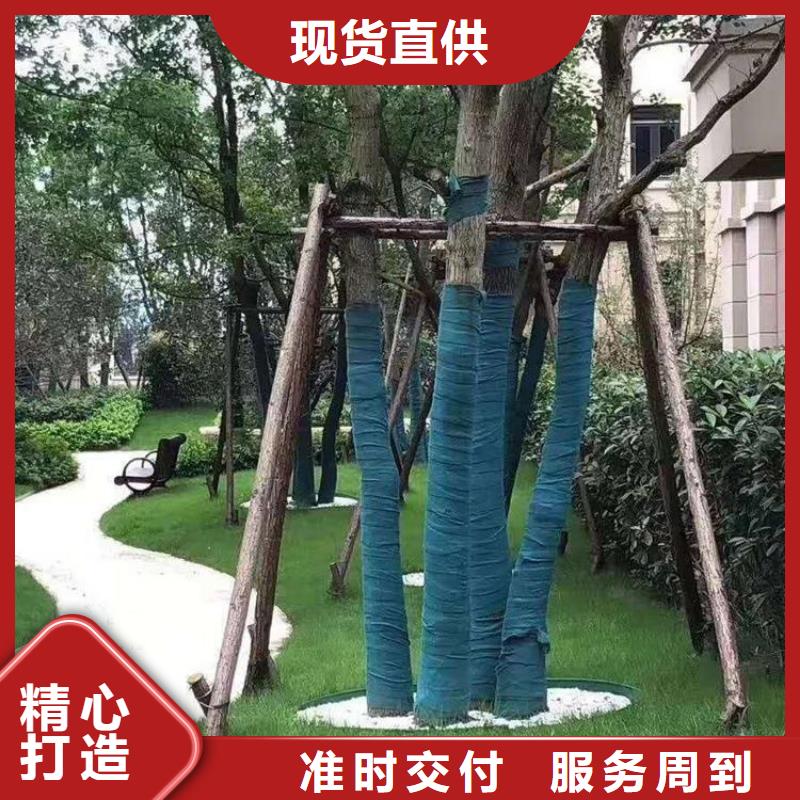 裹树布_塑料排水板全新升级品质保障
