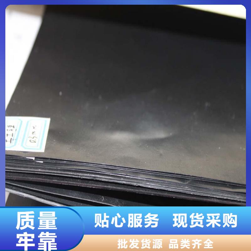 【土工膜土工网垫高品质诚信厂家】