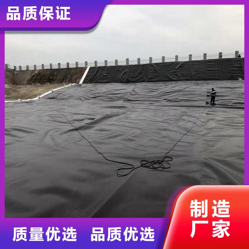土工膜聚酯布多年实力厂家