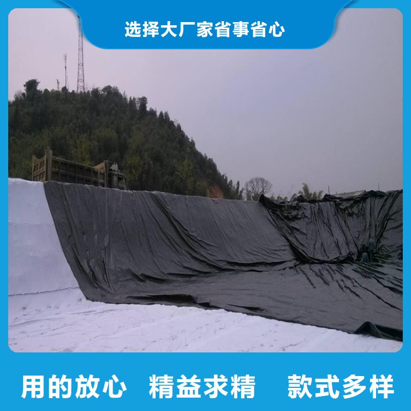【土工膜土工网垫高品质诚信厂家】