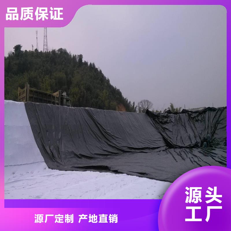 土工膜【土工格室】性价比高