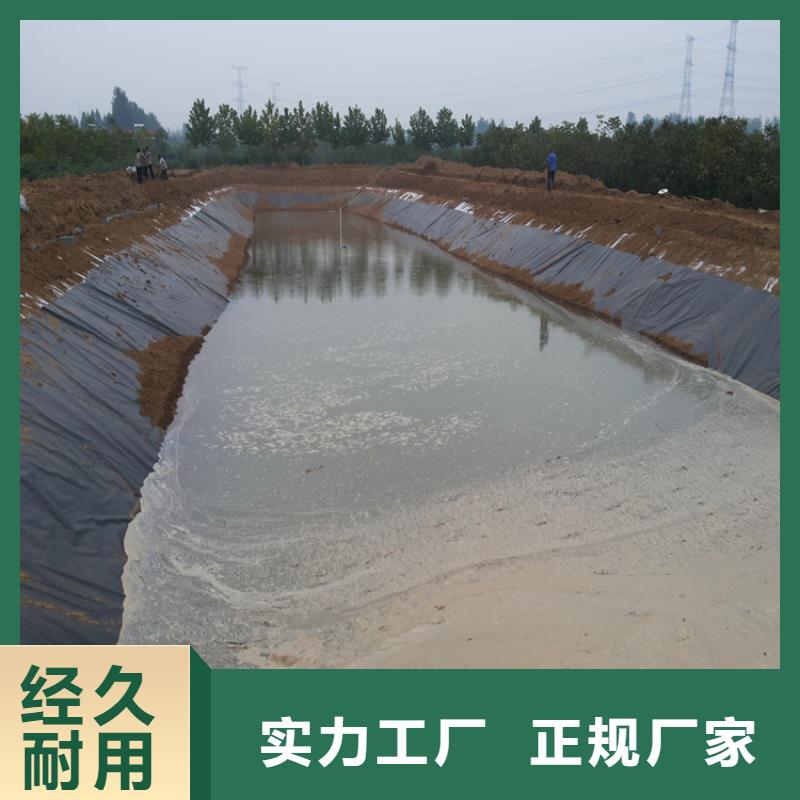 土工膜【土工布】懂您所需