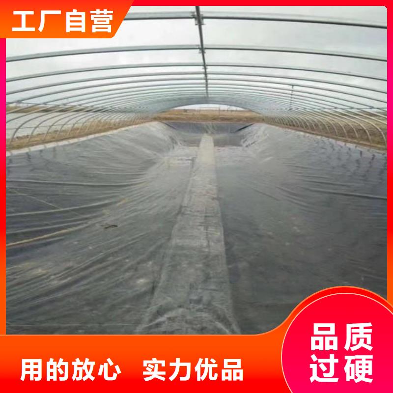 土工膜_防渗膜现货交易