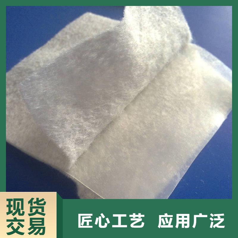 土工布土工格栅源厂供货