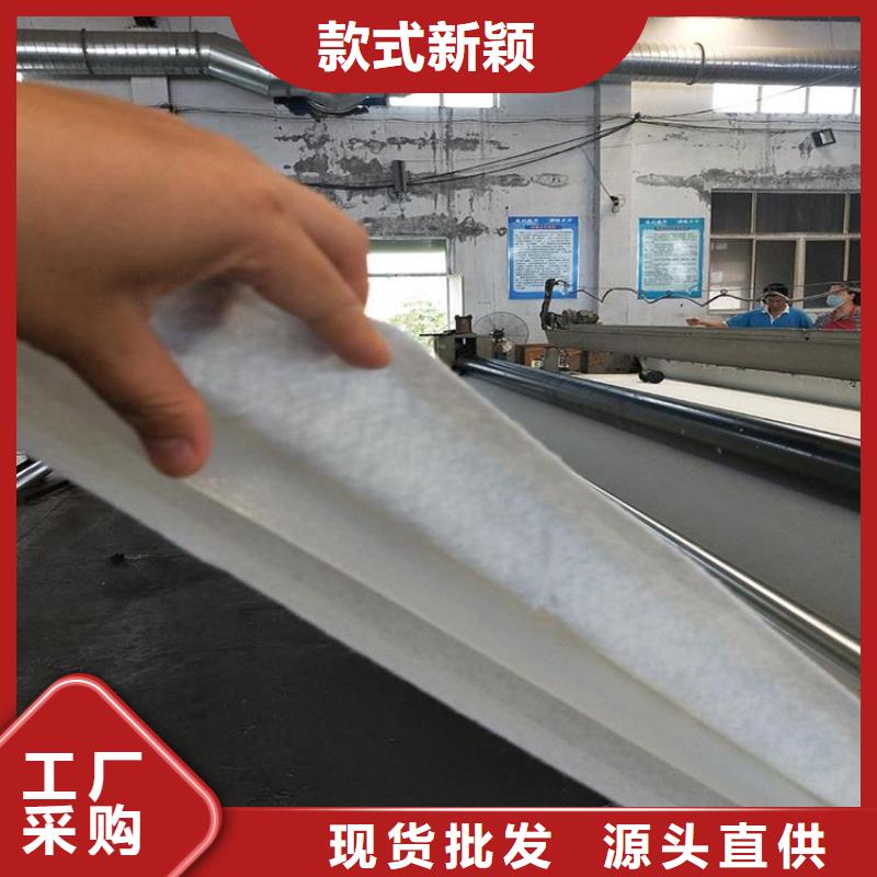 土工布聚丙烯长丝土工布注重细节