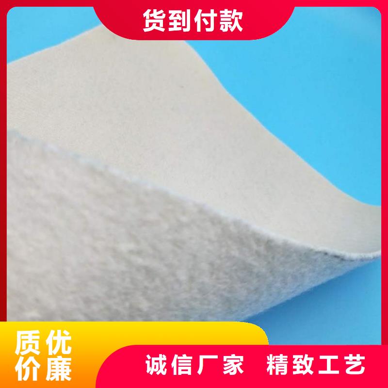 土工布土工格栅源厂供货