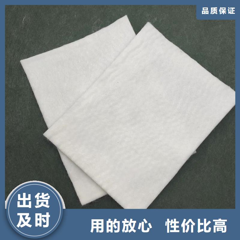 土工布土工格室实力才是硬道理