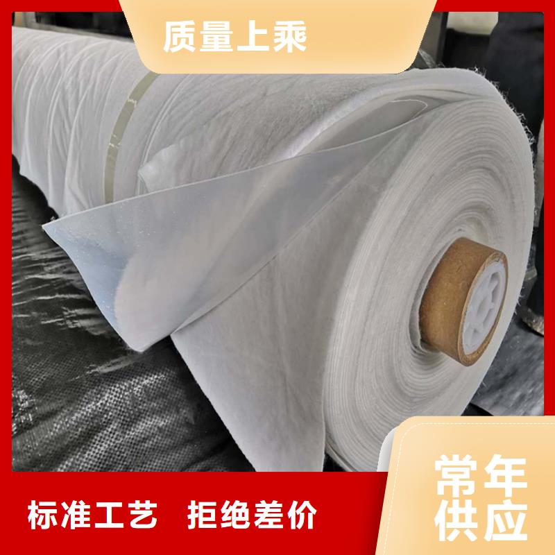 土工布土工膜实体厂家支持定制