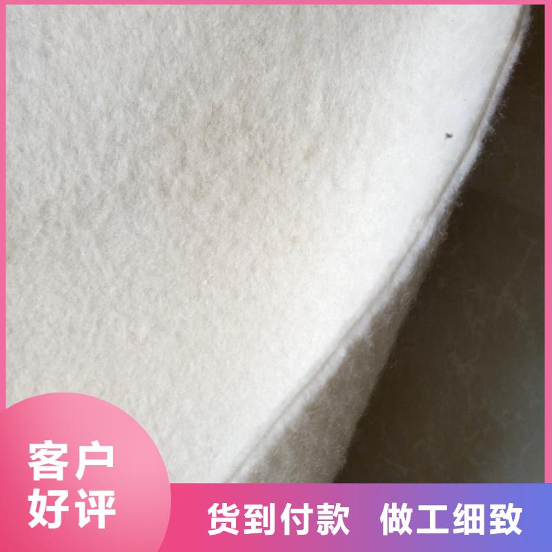 土工布聚丙烯长丝土工布注重细节