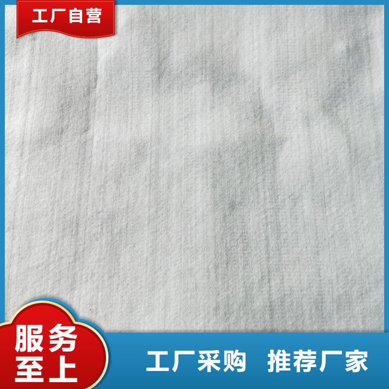 土工布聚丙烯长丝土工布注重细节