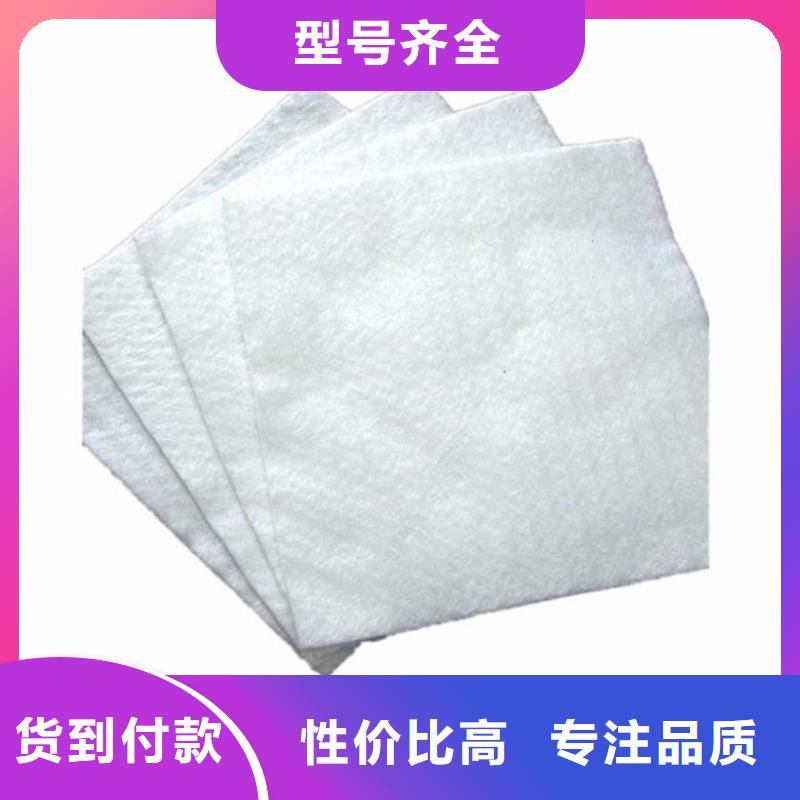 土工布-【钢塑土工格栅】货到付款