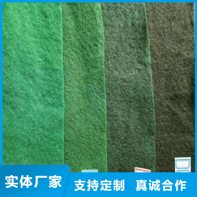 【土工布植草格实拍品质保障】