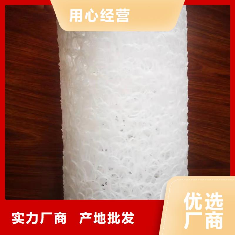 塑料盲沟双向土工格栅卓越品质保障