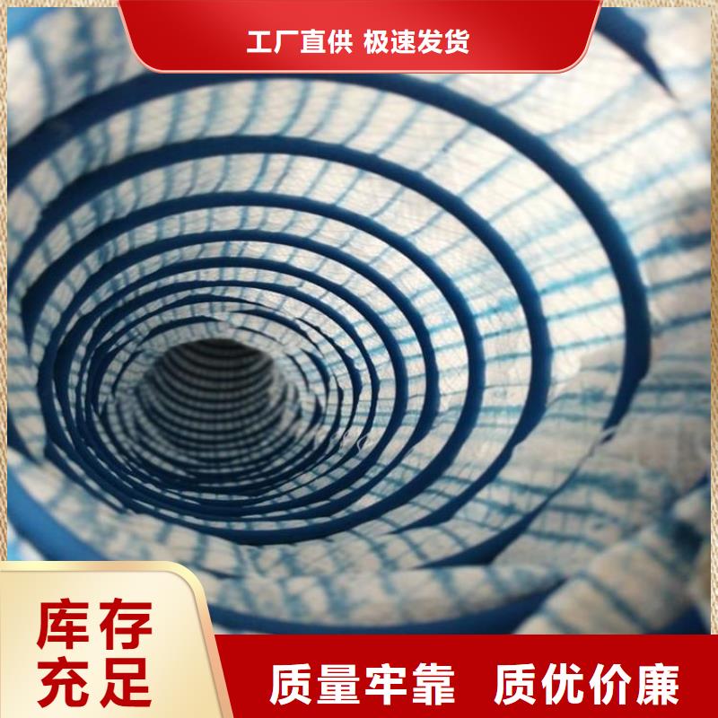 软式透水管塑料盲沟供您所需