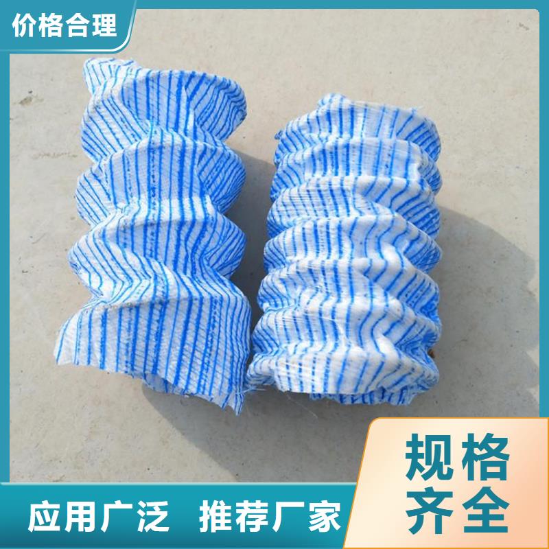软式透水管双向塑料土工格栅闪电发货