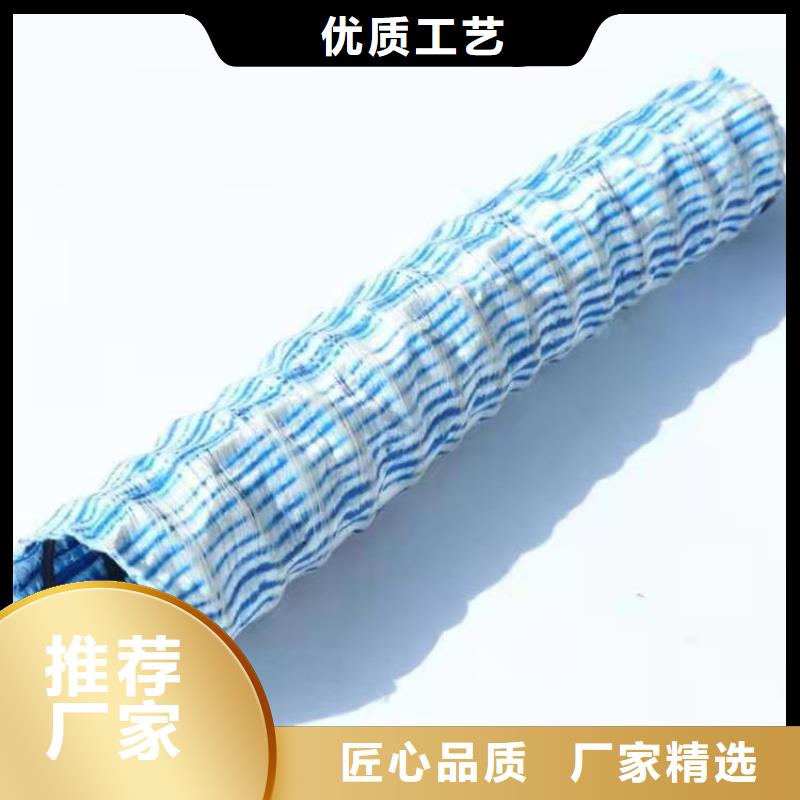 软式透水管【钢塑土工格栅】工艺精细质保长久