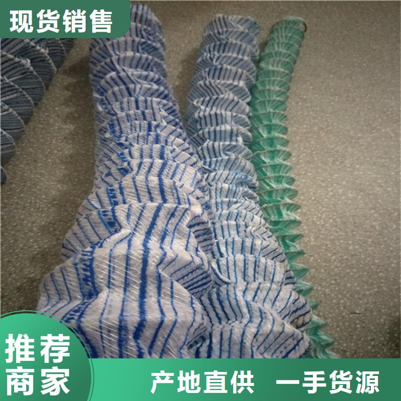 软式透水管双向塑料土工格栅闪电发货