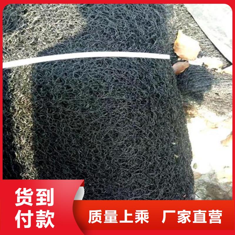 通风降噪丝网土工膜常年供应