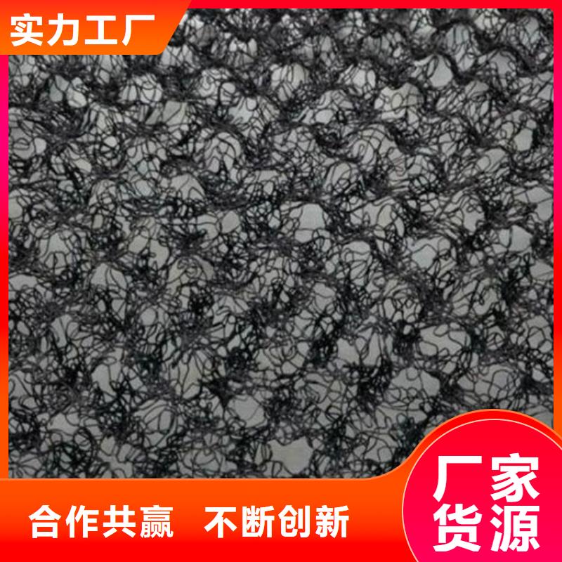 【水土保护毯】-通风降噪丝网实力派厂家