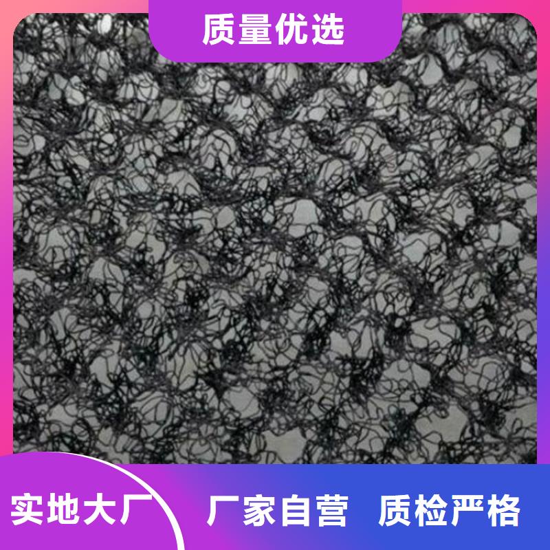 【水土保护毯】土工格栅值得信赖
