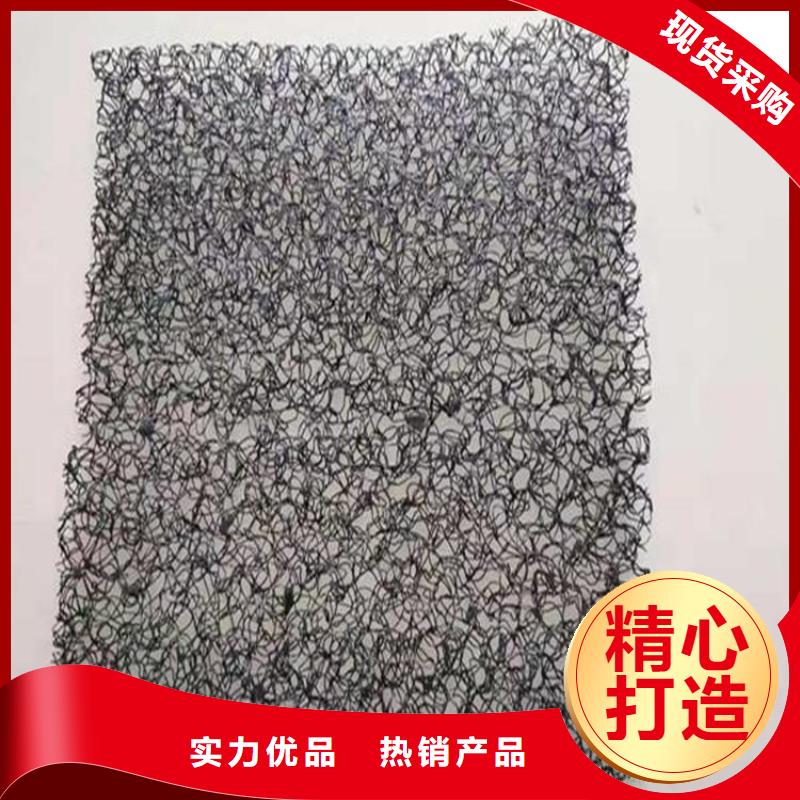 水土保护毯【钢塑土工格栅】精心打造