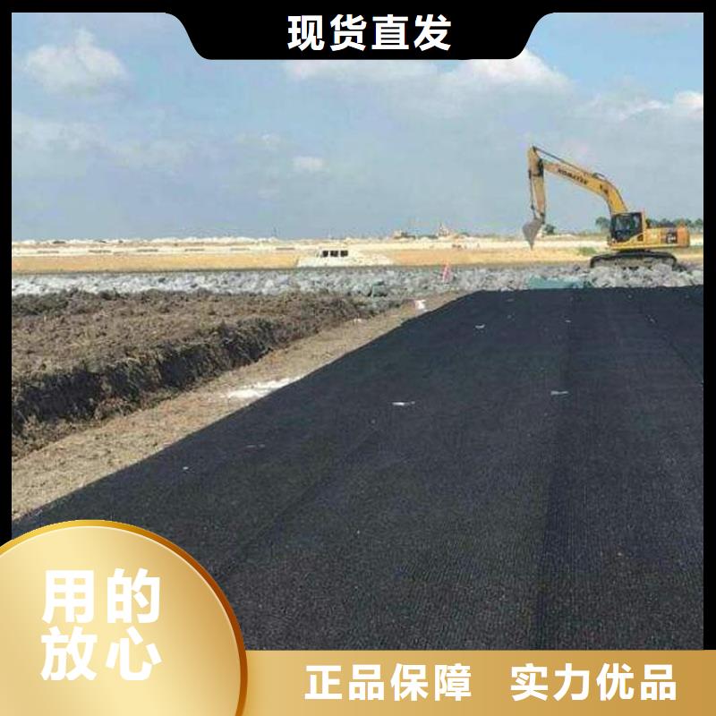 水土保护毯土工膜厂家