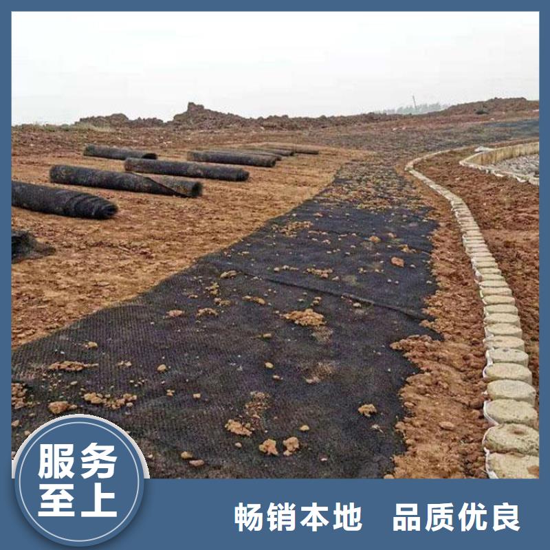 水土保护毯软式透水管买的放心