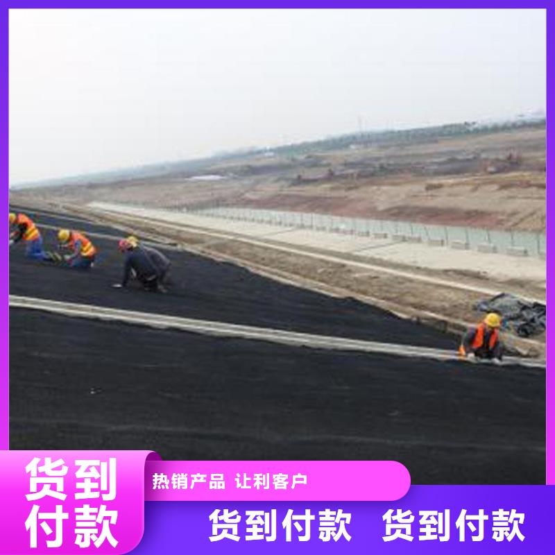 水土保护毯土工网厂家实力大