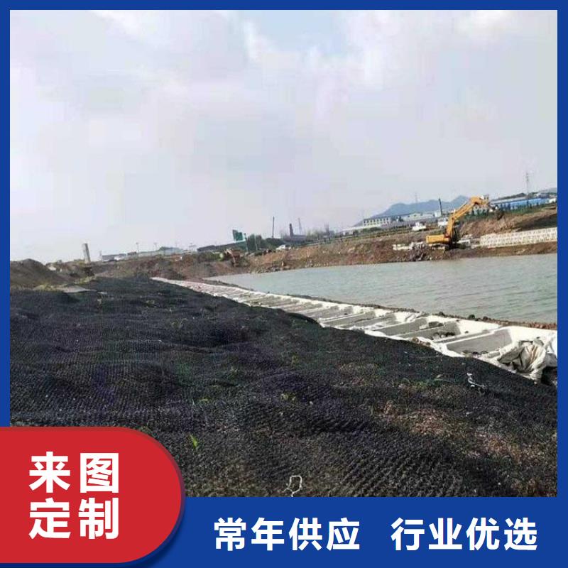 【水土保护毯】土工格栅值得信赖