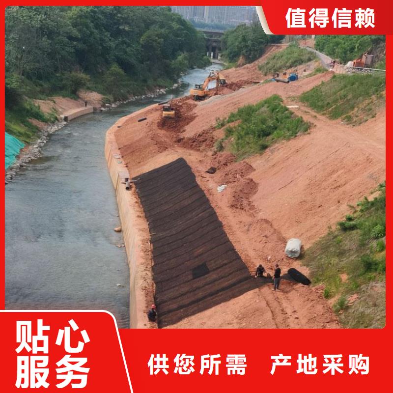水土保护毯土工格栅制造厂家
