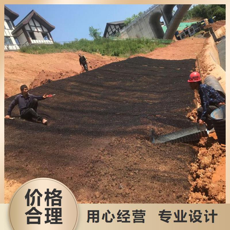 水土保护毯_防水毯专业的生产厂家