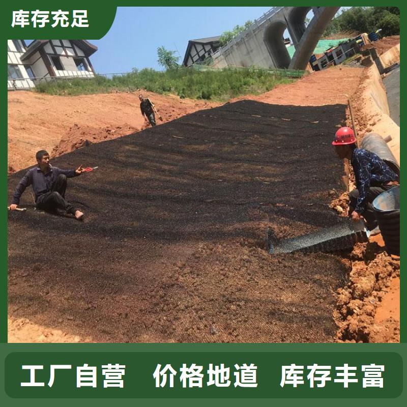 【水土保护毯】-通风降噪丝网实力派厂家