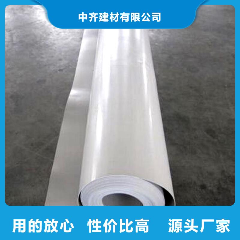 防水板_双向土工格栅讲信誉保质量