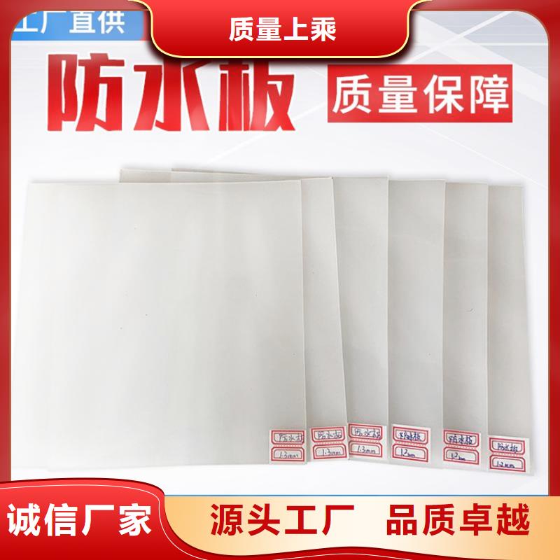 防水板【土工格栅】品质优选