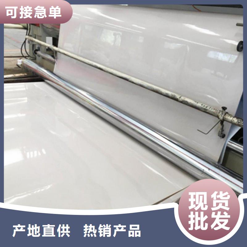防水板复合土工膜源厂供货