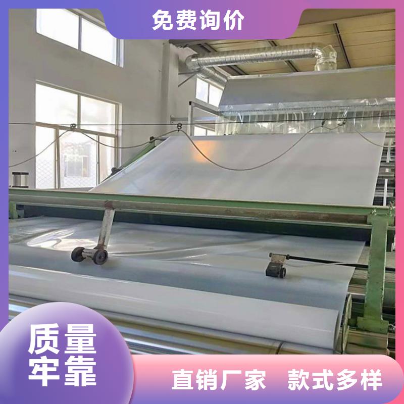 防水板_HDPE土工膜欢迎来电咨询