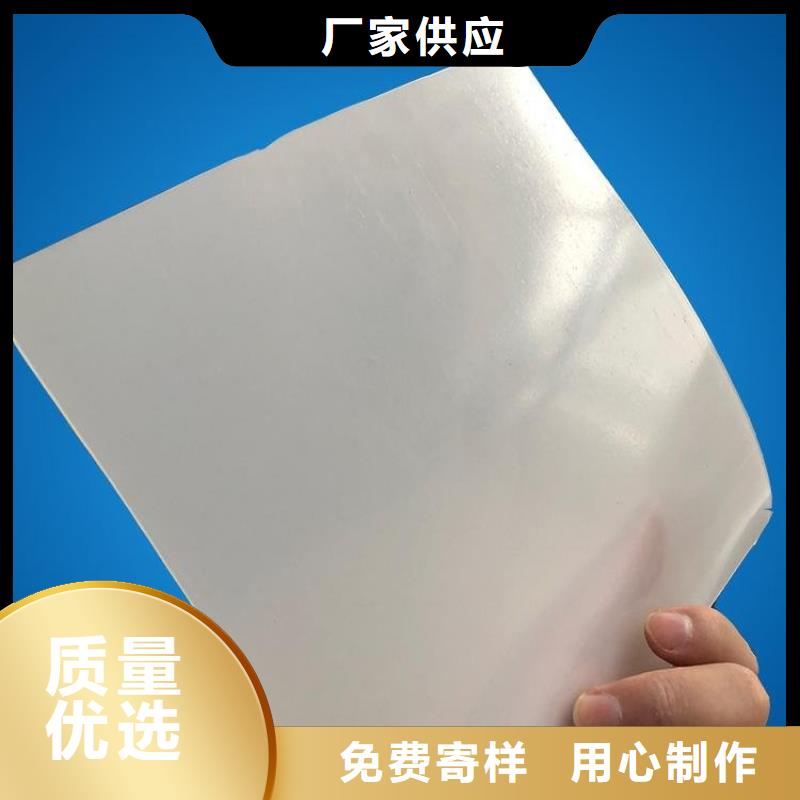 防水板_土工格栅经验丰富质量放心