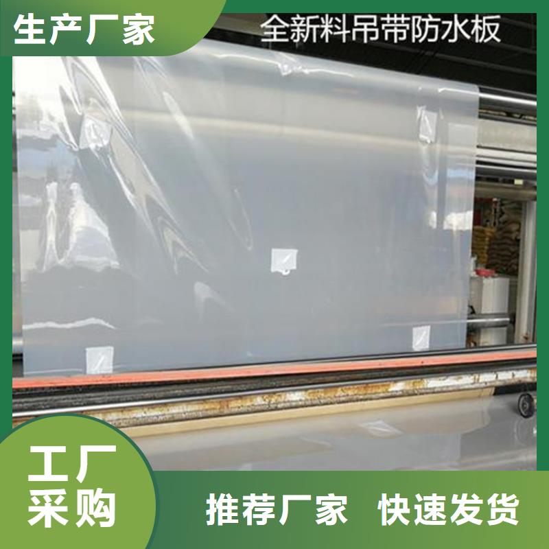 防水板_双向土工格栅讲信誉保质量