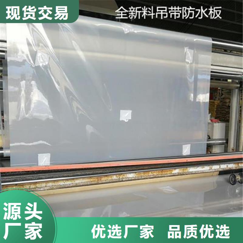 防水板复合土工膜源厂供货