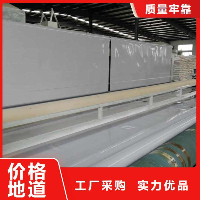 防水板复合土工膜源厂供货
