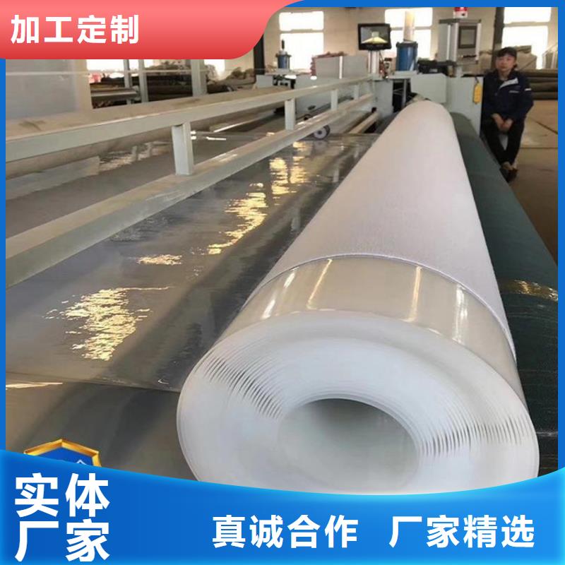 防水板土工格栅厂家货源