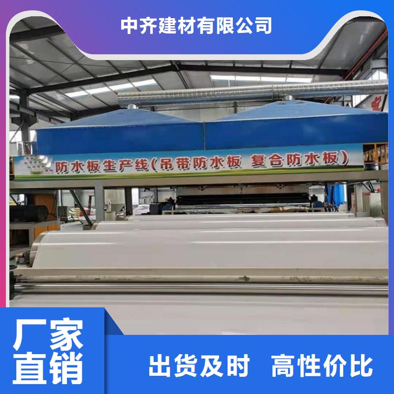 【防水板双向塑料土工格栅产地货源】