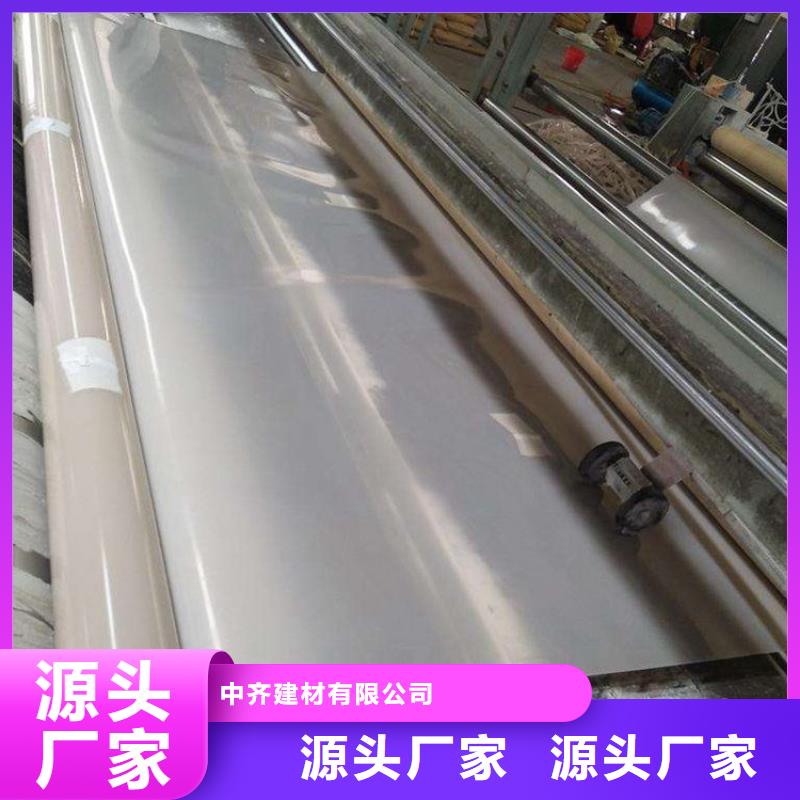 防水板_双向土工格栅讲信誉保质量