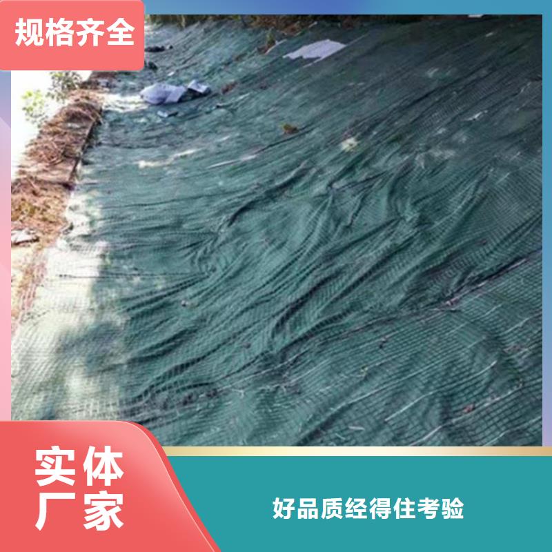 椰丝毯土工格栅实力厂商