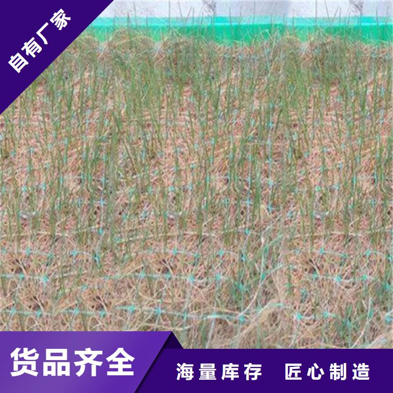 椰丝毯聚酯布好产品价格低