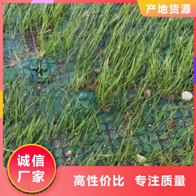 椰丝毯波纹管厂家直发