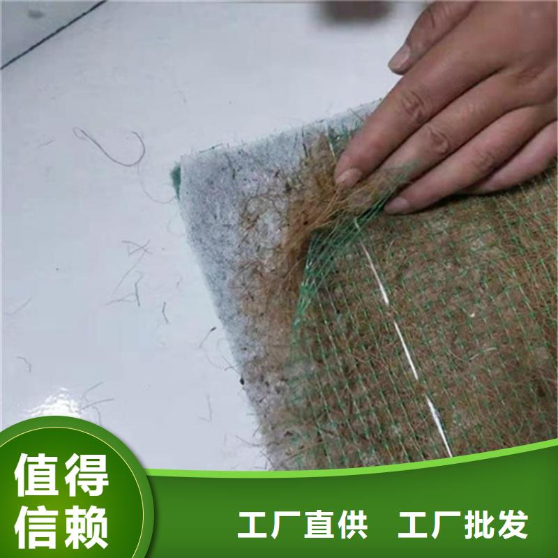 椰丝毯双向塑料土工格栅满足多种行业需求