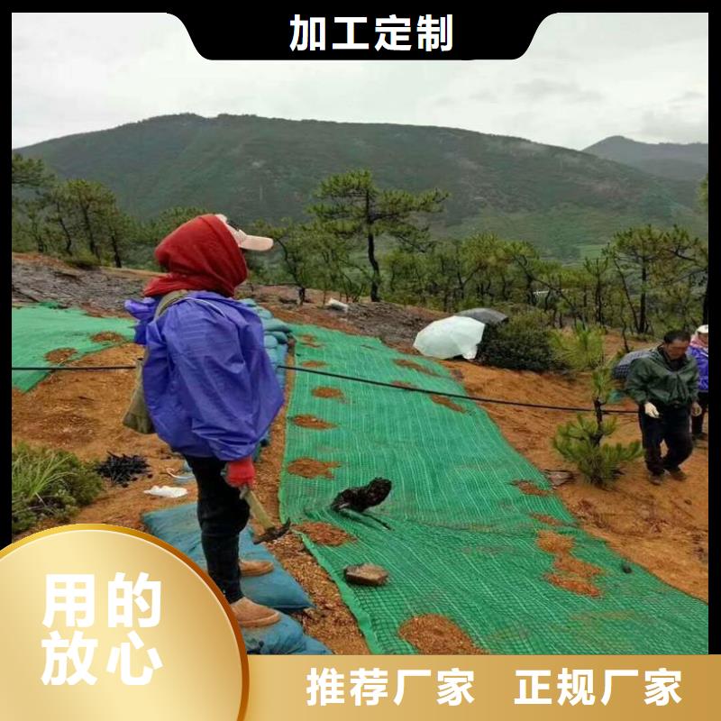 椰丝毯短纤无纺土工布源头工厂