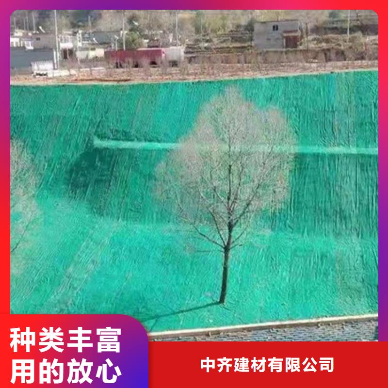 椰丝毯双向塑料土工格栅品质过硬