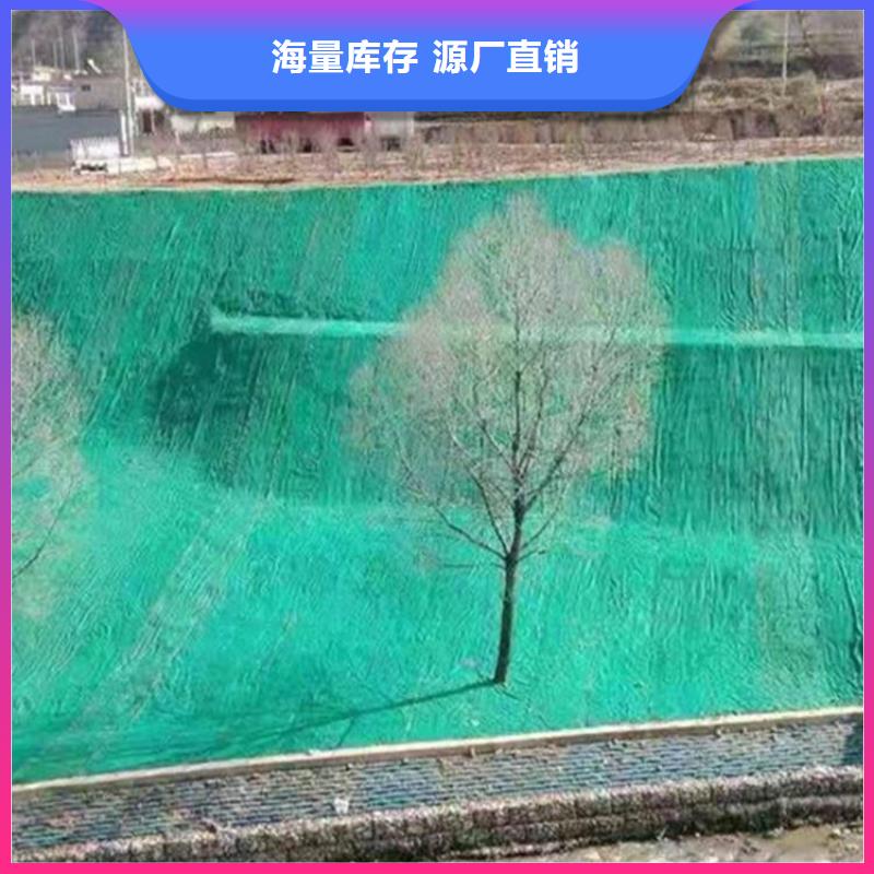 椰丝毯三维植被网厂家直销供货稳定